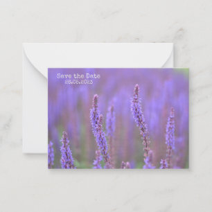 Sea of Purple Flowers at RHS Wisley Save the Date Card