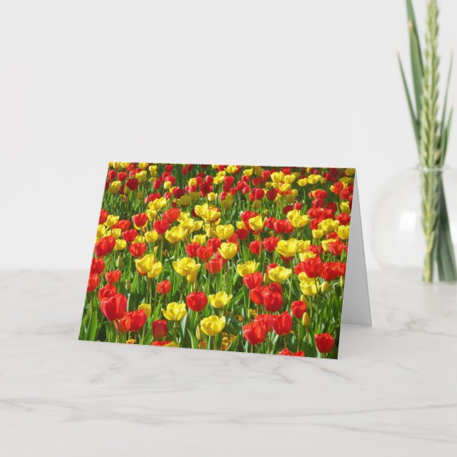 Sea of Tulips Card (Front)