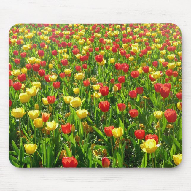 Sea of Tulips II Mouse Pad (Front)