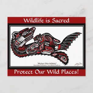 SEA OTTER & BABY (Haida Styled) Postcards