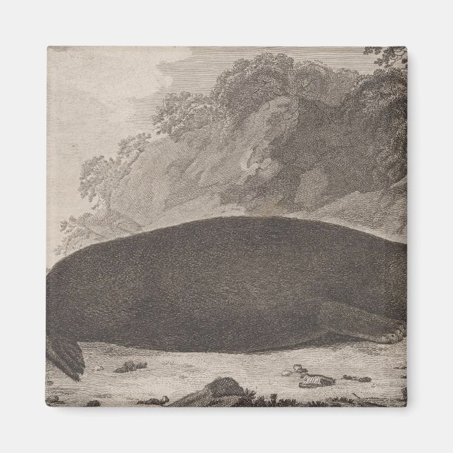 Sea otter, British Columbia Magnet (Front)