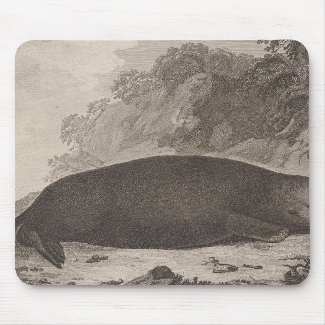 Sea otter, British Columbia Mouse Pad (Front)