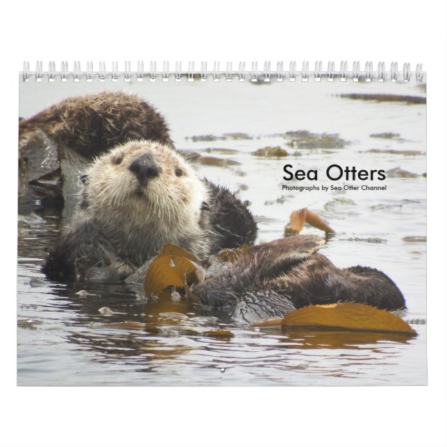 Sea Otter Channel Calendar #3 (Cover)