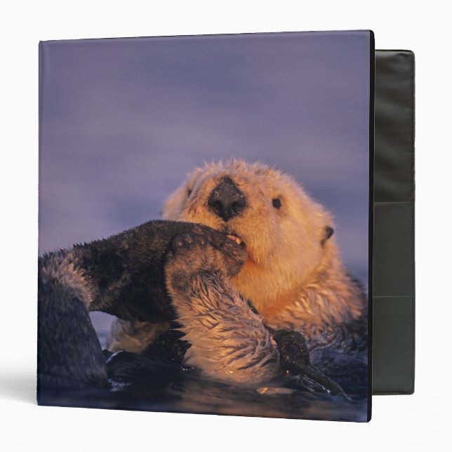 Sea Otter, Enhydra lutris Binder (Front/Inside)
