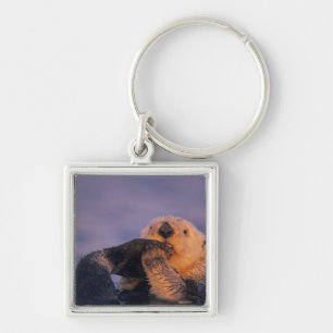 Sea Otter, Enhydra lutris Keychain