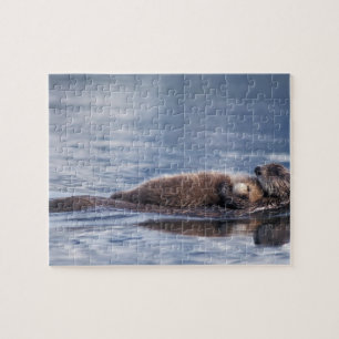 sea otter, Enhydra lutris lutris Jigsaw Puzzle