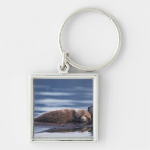sea otter, Enhydra lutris lutris Keychain