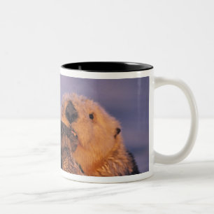 Sea Otter, Enhydra lutris Two-Tone Coffee Mug