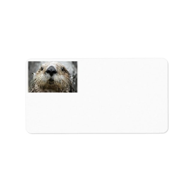 Sea Otter Face Photo Address Labels (Front)