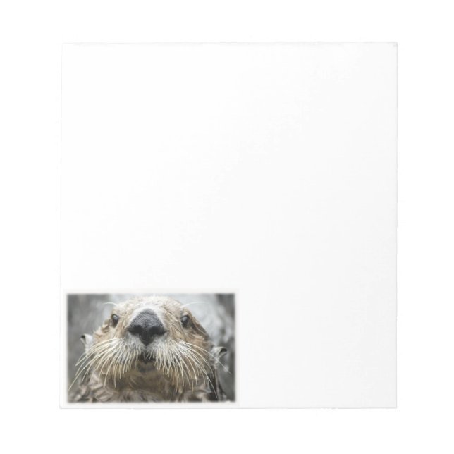 Sea Otter Face Photo Notepads (Front)