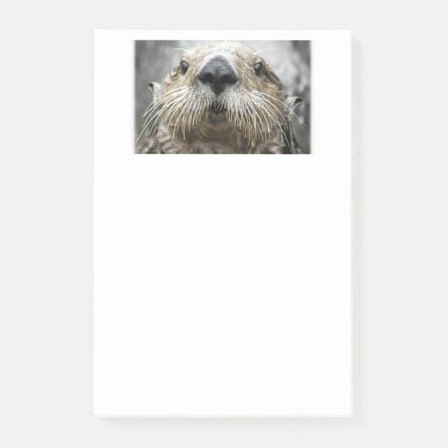 Sea Otter Face Photo Post-it Notes (Front)