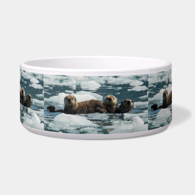 Sea Otter Family (Front)