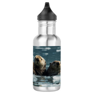 Sea Otter Family 532 Ml Water Bottle