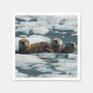 Sea Otter Family Napkin