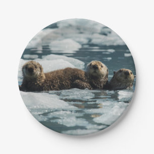 Sea Otter Family Paper Plate