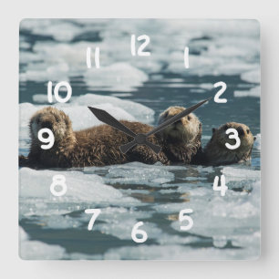 Sea Otter Family Square Wall Clock