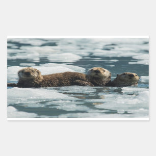Sea Otter Family Sticker