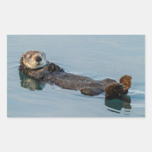 Sea otter floating on back in ocean sticker