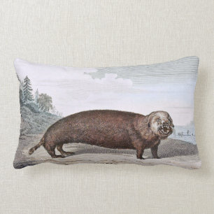 Sea Otter Illustration Lumbar Pillow