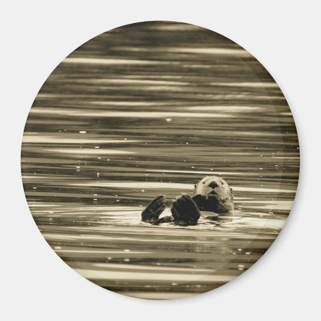 Sea Otter Magnet (Front)
