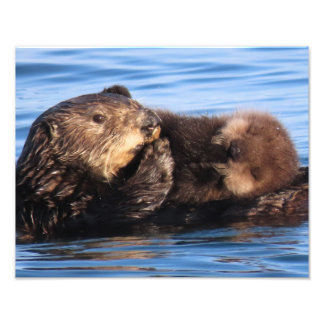 Sea Otter Mom and Adorable Pup Photo Print