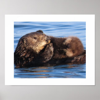 Sea Otter Mom and Adorable Pup Poster