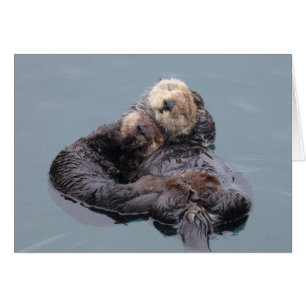 Sea Otter Mom and Pup