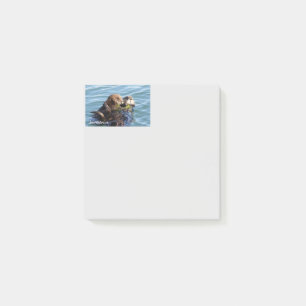 Sea Otter mother and pup with kelp Post-it Notes