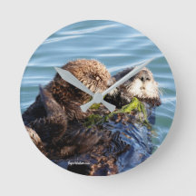 Sea Otter mother and pup with kelp