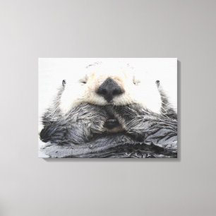 Sea Otter Sleeping Canvas Print