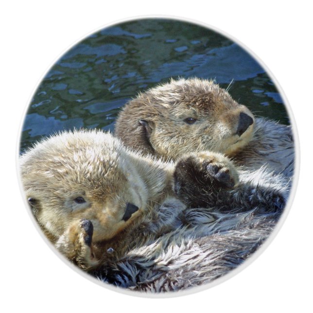 Sea Otters Ceramic Knob (Front)