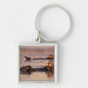 Sea Otters, Enhydra lutris 3 Keychain
