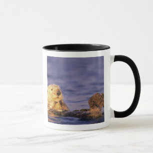 Sea Otters, Enhydra lutris 4 Mug