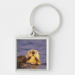 Sea Otters, Enhydra lutris 5 Keychain