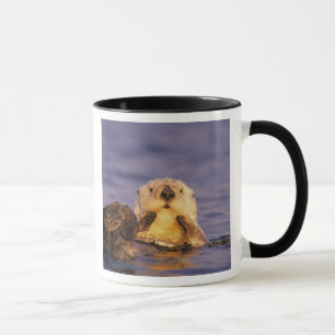 Sea Otters, Enhydra lutris 5 Mug