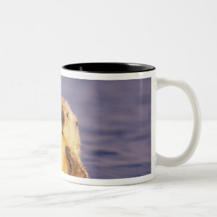 Sea Otters, Enhydra lutris 5 Two-Tone Coffee Mug
