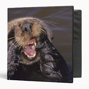 Sea Otters, Enhydra lutris 6 Binder