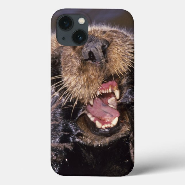 Sea Otters, Enhydra lutris 6 Case-Mate iPhone Case (Back)