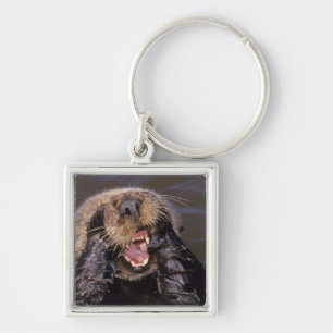 Sea Otters, Enhydra lutris 6 Keychain