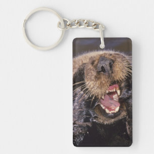 Sea Otters, Enhydra lutris 6 Keychain