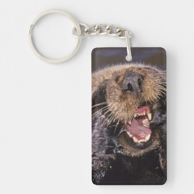 Sea Otters, Enhydra lutris 6 Keychain (Front)