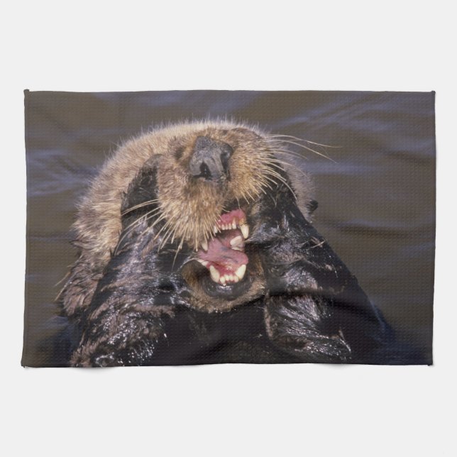 Sea Otters, Enhydra lutris 6 Kitchen Towel (Horizontal)