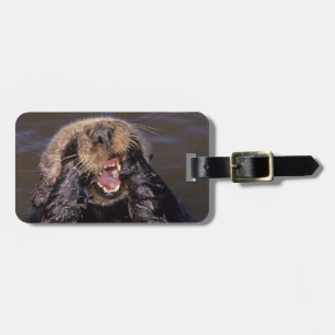 Sea Otters, Enhydra lutris 6 Luggage Tag