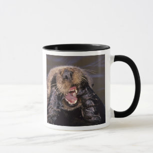 Sea Otters, Enhydra lutris 6 Mug