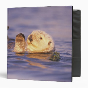 Sea Otters, Enhydra lutris Binder