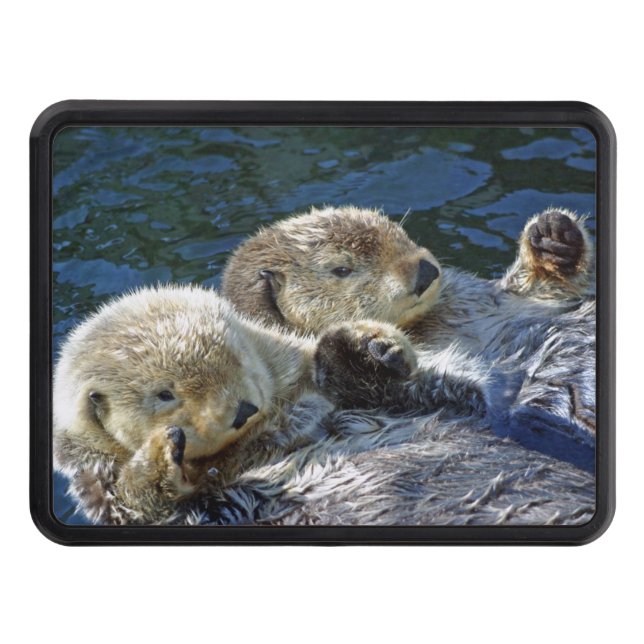 Sea-otters hitch cover (Front)