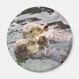 Sea Otters Holding Hands Magnet