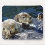 Sea-otters Mouse Pad<br><div class="desc">Photo of sea-otters by New Forest Pics</div>