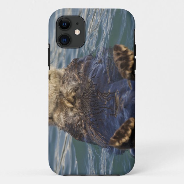 Sea otters play on icebergs at Surprise Inlet Case-Mate iPhone Case (Back)
