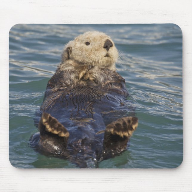 Sea otters play on icebergs at Surprise Inlet Mouse Pad (Front)